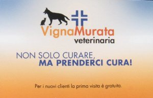 Visita veterinaria gratis Roma