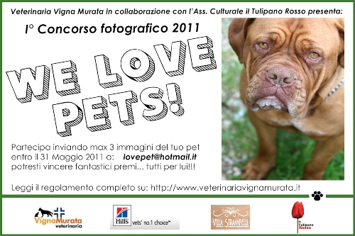 concorso animali we love pets