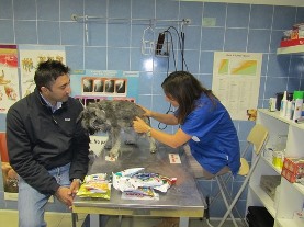 costo visita veterinaria
