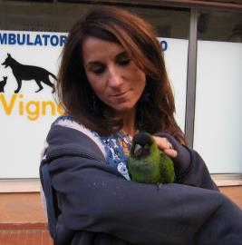 pronto soccorso veterinario